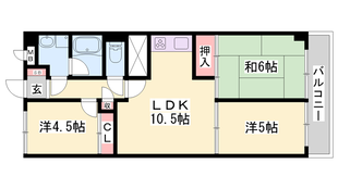 明石駅 徒歩11分 5階の物件間取画像